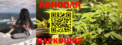 apvp Канаш