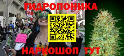 гидропоника Азнакаево