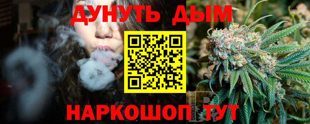 Каннабис OG Kush Зима